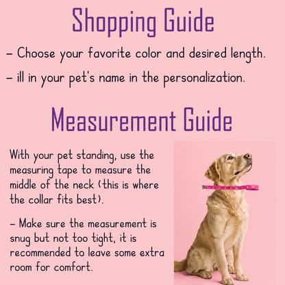 Personalized Dog Collar