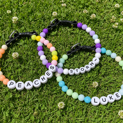 Personalized Dog Collar